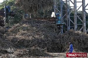 Début de la campagne ce lundi Début de la campagne ce lundi