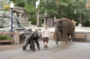 Zookeeper - Le héros des animaux - Zookeeper - Le héros des animaux