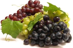 Des conseils pour choisir de délicieux raisins - Des conseils pour choisir de délicieux raisins