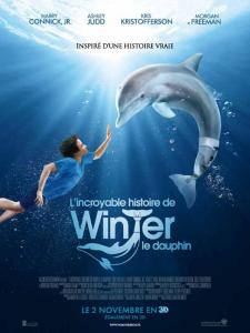 L'Incroyable histoire de Winter le dauphin
- L'Incroyable histoire de Winter le dauphin L'Incroyable histoire de Winter le dauphin
- L'Incroyable histoire de Winter le dauphin