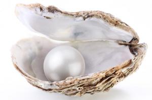 Entretenir une perle de culture - Entretenir une perle de culture Entretenir une perle de culture - Entretenir une perle de culture