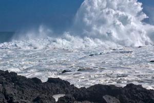 Fausse alerte à la Pointe au Sel Fausse alerte à la Pointe au Sel