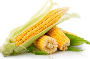 Le maïs doux est riche en vitamines - Le maïs doux : des vitamines pour être en forme