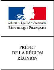 Elections municipales partielles de la commune de Sainte-Suzanne