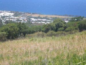 Sécheresse à la Réunion : le point sur la situation