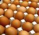 Après la pénurie, les oeufs sont de retour dans les rayons Après la pénurie, les oeufs sont de retour dans les rayons