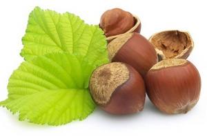 L'huile végétale de noisette : l'alliée des peaux acnéiques - L'huile végétale de noisette : l'alliée des peaux acnéiques L'huile végétale de noisette : l'alliée des peaux acnéiques - L'huile végétale de noisette : l'alliée des peaux acnéiques
