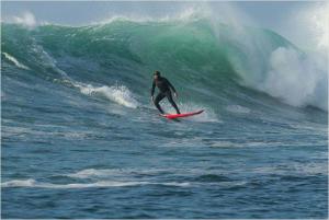 Chasing Mavericks - Chasing Mavericks : anecdoctes du film