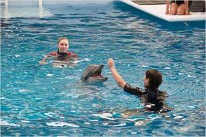 Winter le Dauphin 2 : le tournage Winter le Dauphin 2 : le tournage