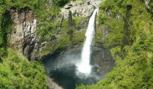 L'île de la Réunion au patrimoine mondial de l'Unesco