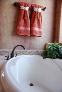 Faire briller la baignoire - L'émail des sanitaires et de la baignoire brillant Faire briller la baignoire - L'émail des sanitaires et de la baignoire brillant