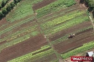 Un cours pour les agriculteurs Un cours pour les agriculteurs