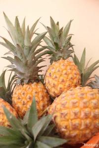 Tout sur l'ananas Tout sur l'ananas
