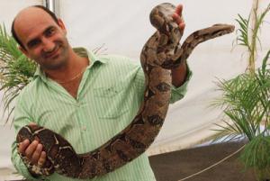 Des reptiles subitement indésirables Des reptiles subitement indésirables