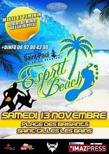 L'«Esprit Beach» se pose sur la plage des Brisants L'«Esprit Beach» se pose sur la plage des Brisants
