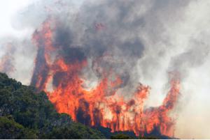 Sous la menace de pyromanes ? Sous la menace de pyromanes ?
